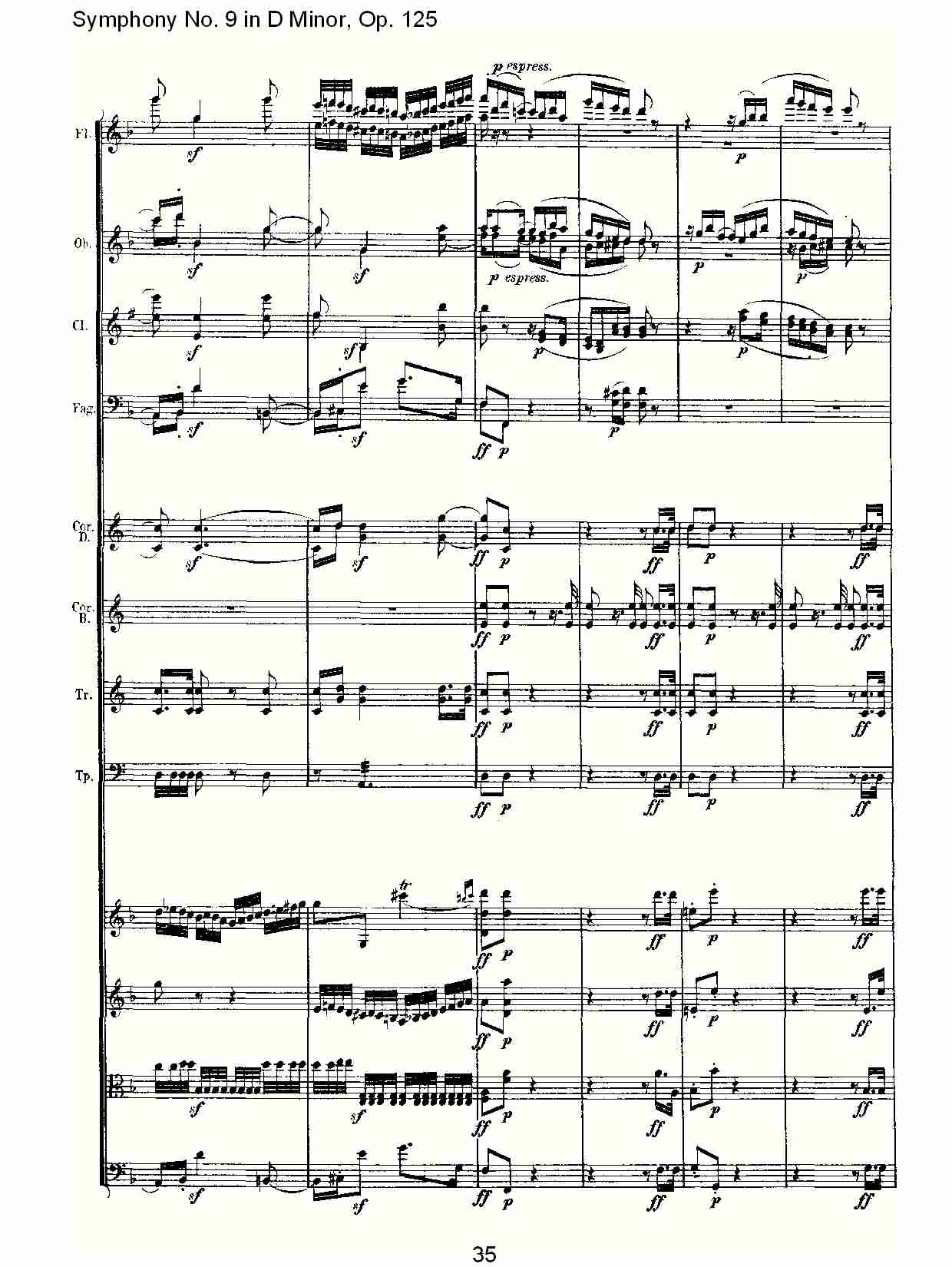 （D小调第九交响曲 Op.125）第一乐章（七）