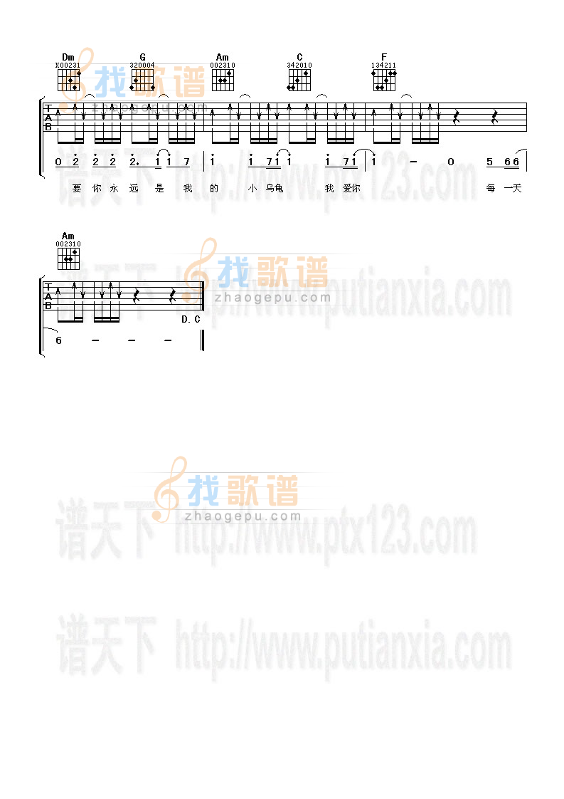 小乌龟