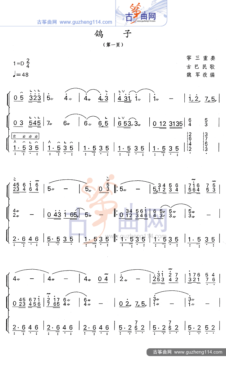 鸽子