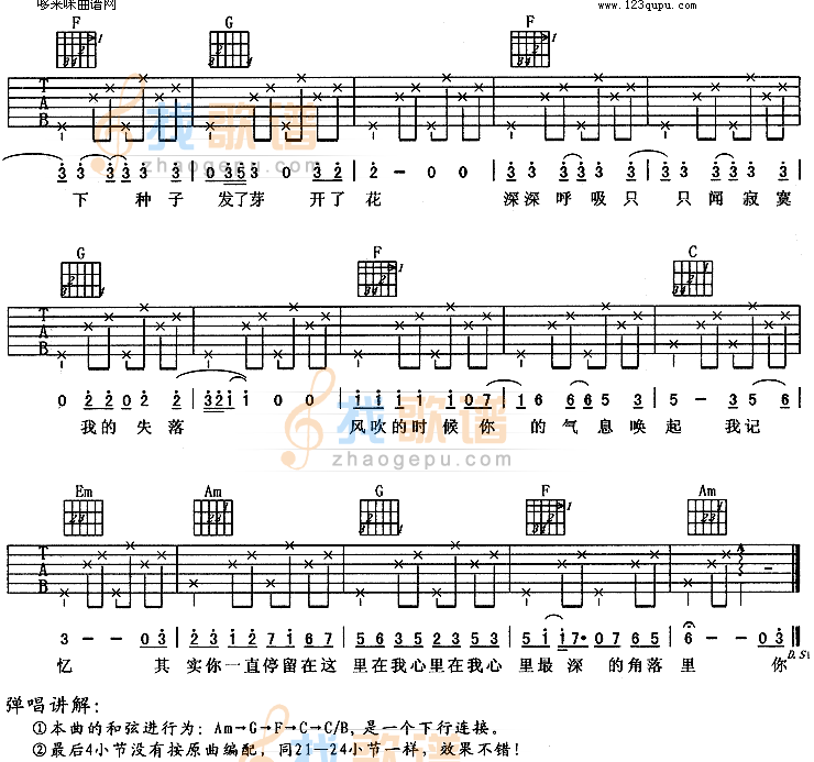 种子(羽泉)