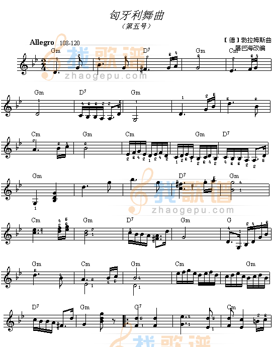 匈牙利舞曲(片段)