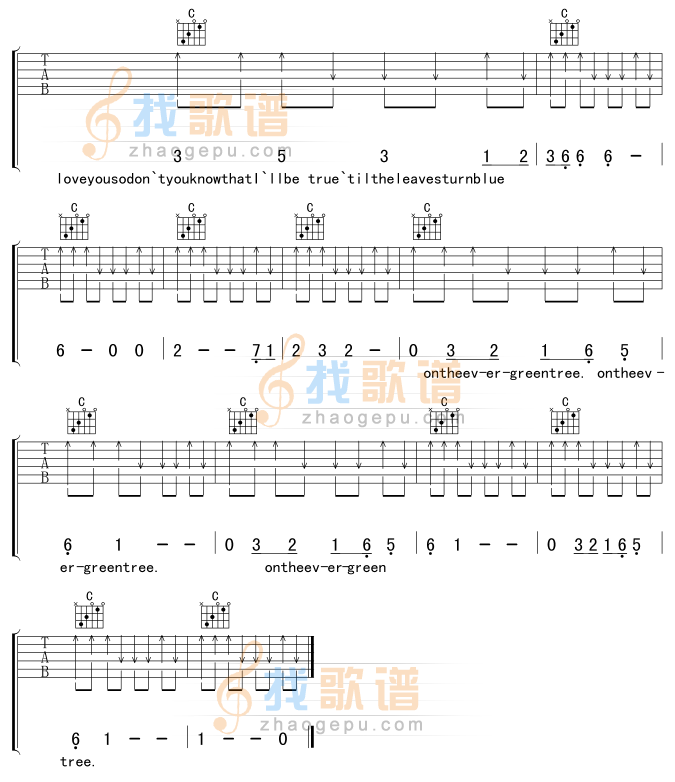 evergreen tree吉他谱( 六)-