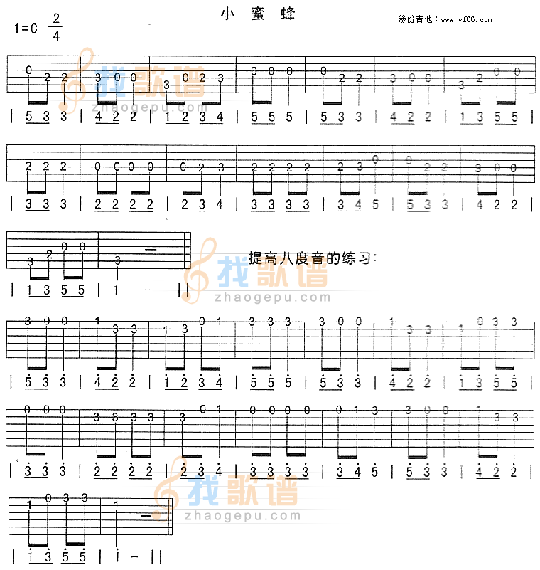 小蜜蜂