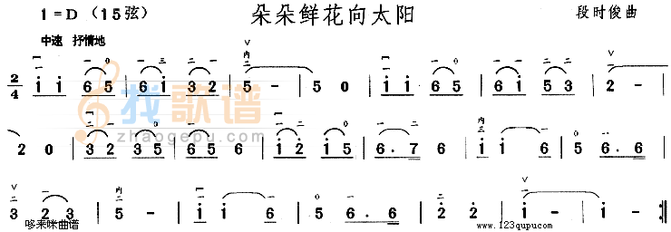 朵朵鲜花向太阳