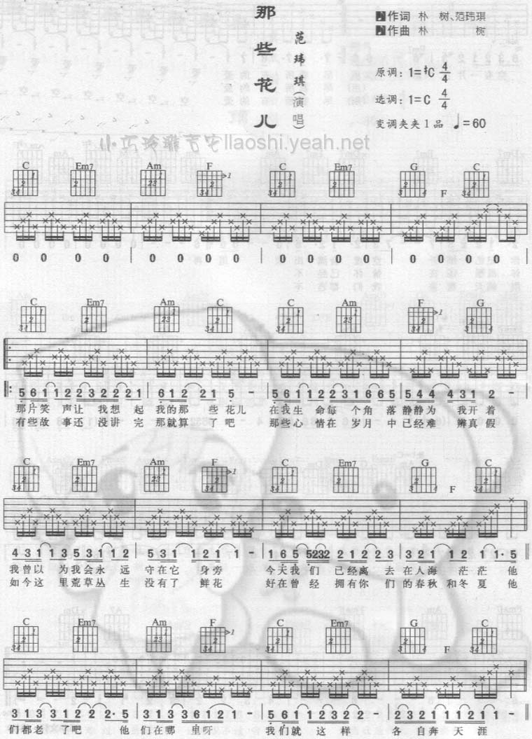 那些花儿