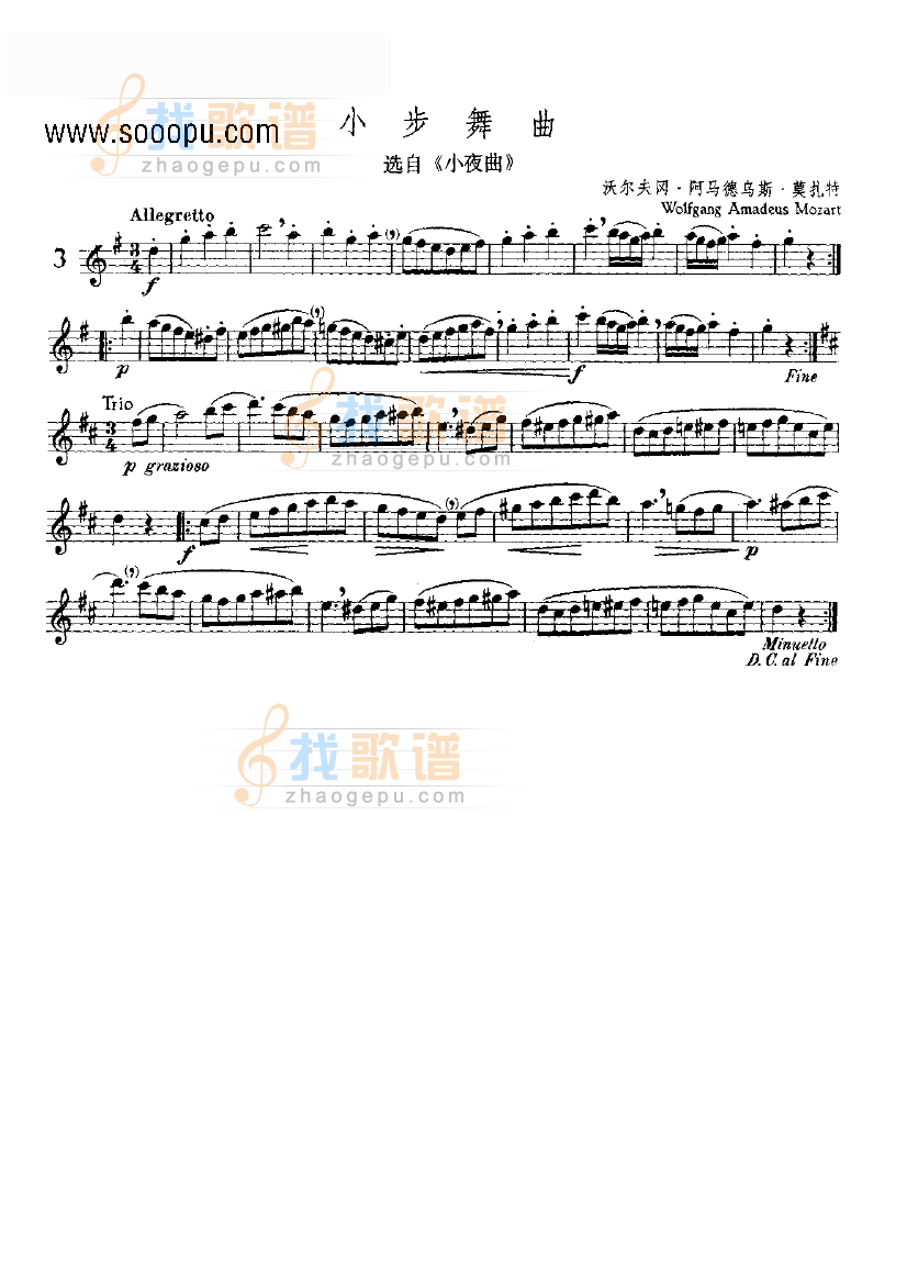 小步舞曲—独奏 