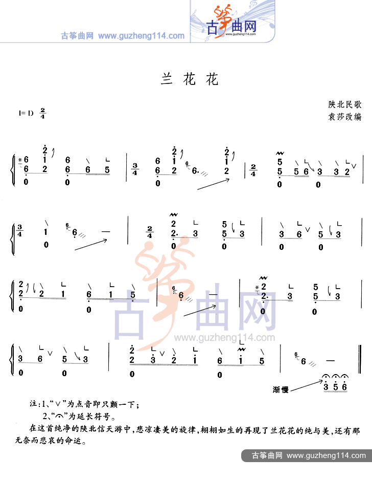 兰花花