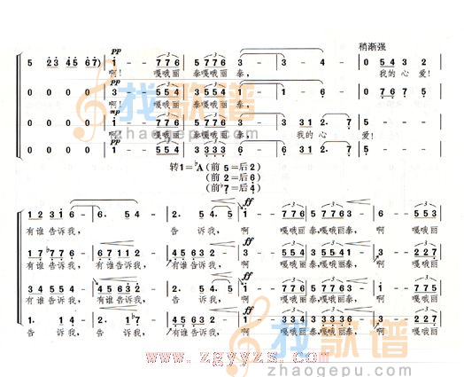 嘎哦丽泰