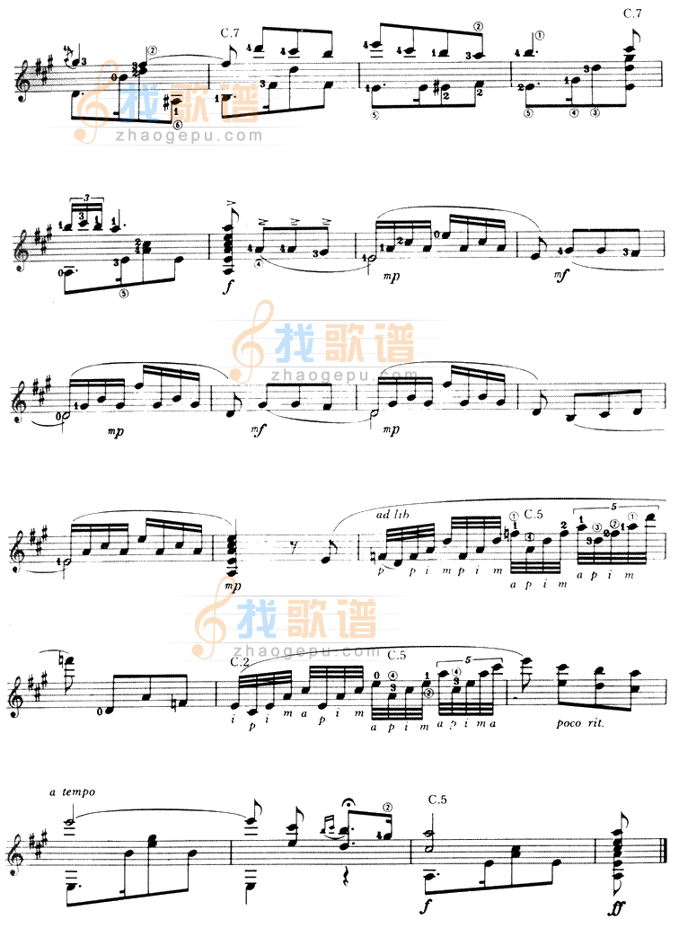 我的太阳吉他谱( 六)