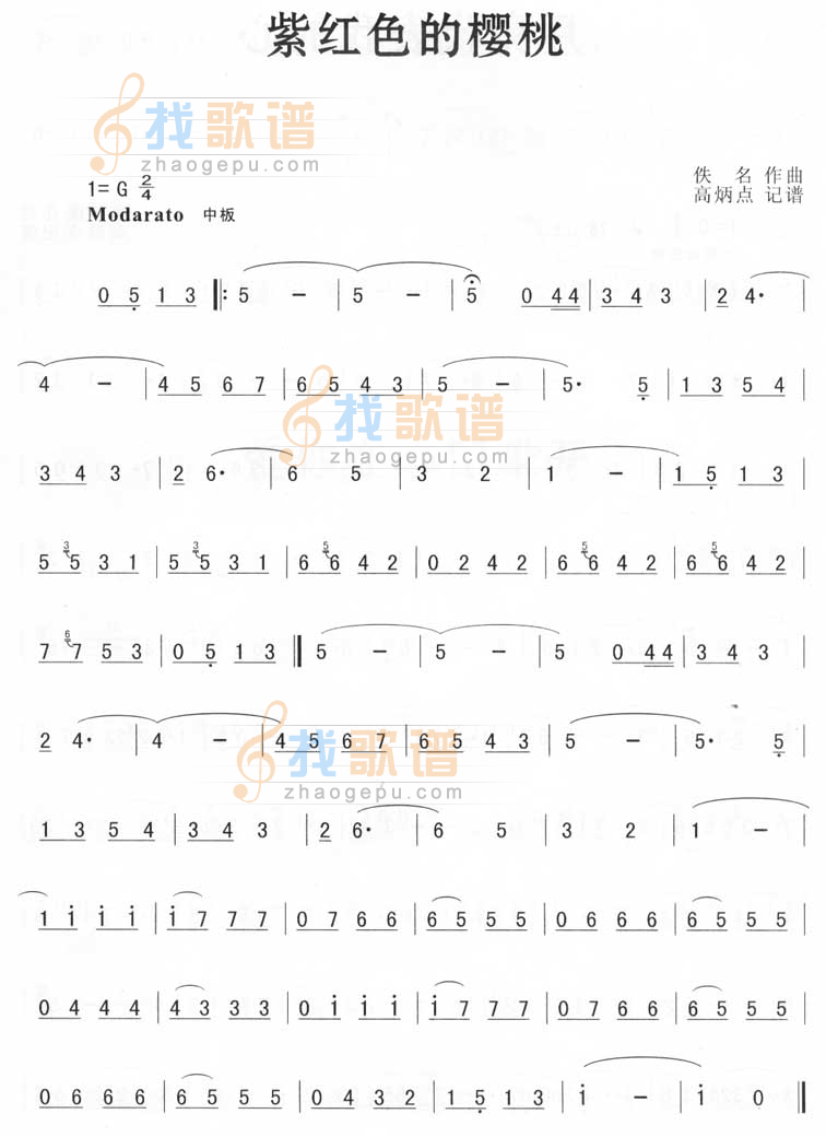 紫红色的樱桃