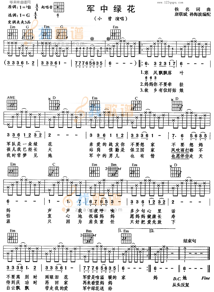 军中绿花(小曾)