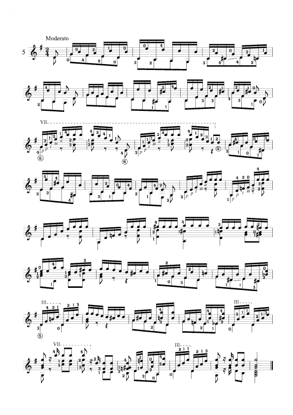 卡尔卡西练习曲5