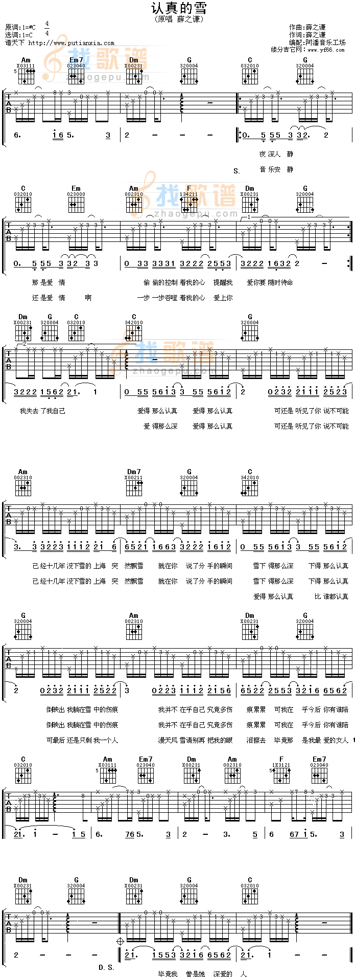 认真的雪