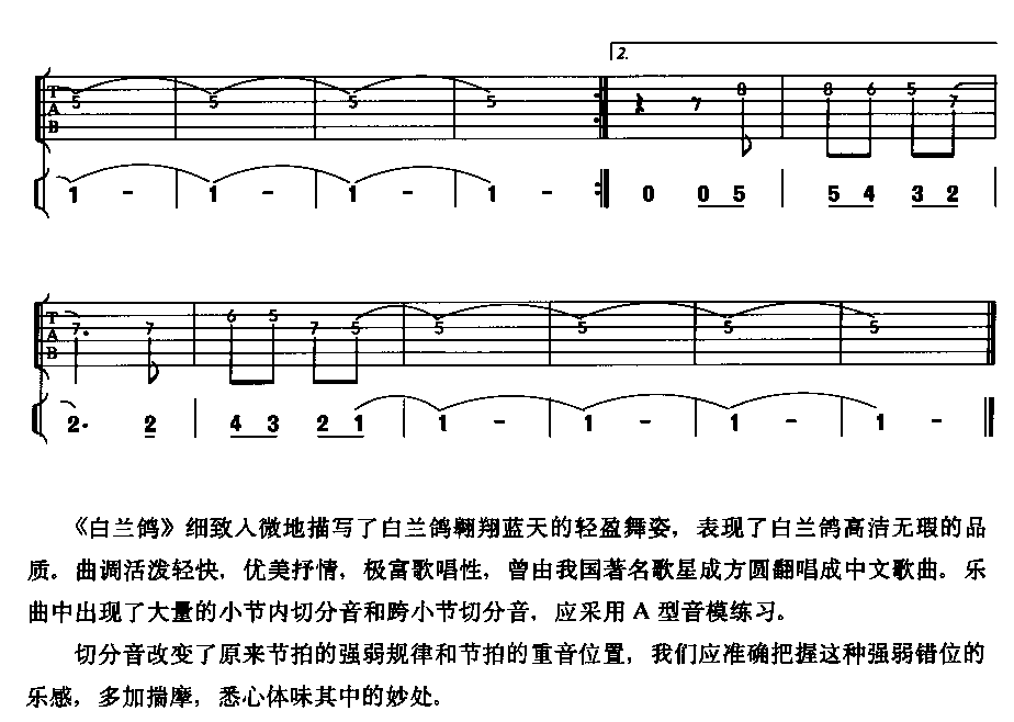 白兰鸽
