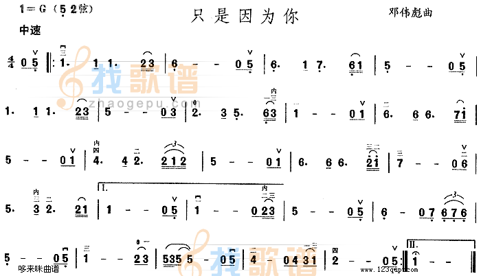 只是因为你