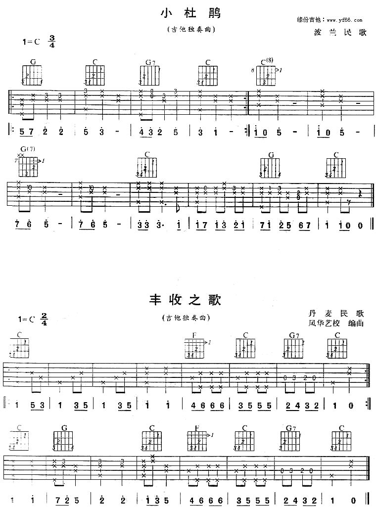 小杜鹃