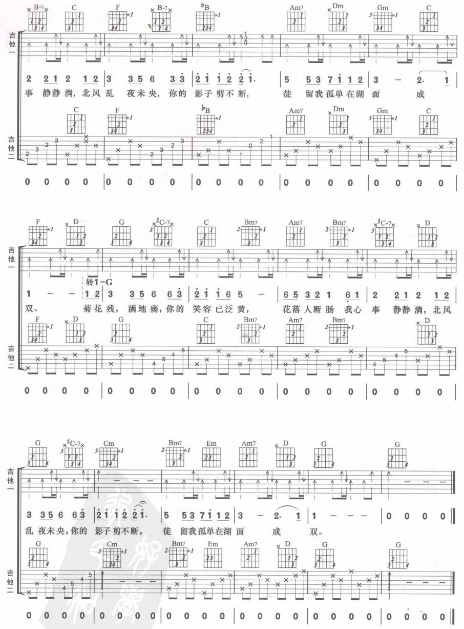菊花台(双吉他)