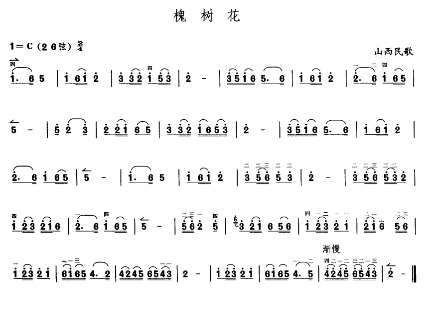 槐树花