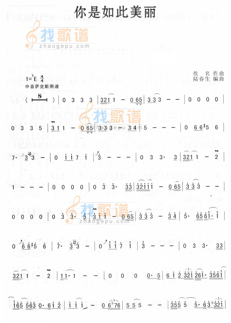 你是如此美丽