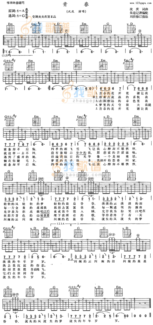 青春 (沈庆 )