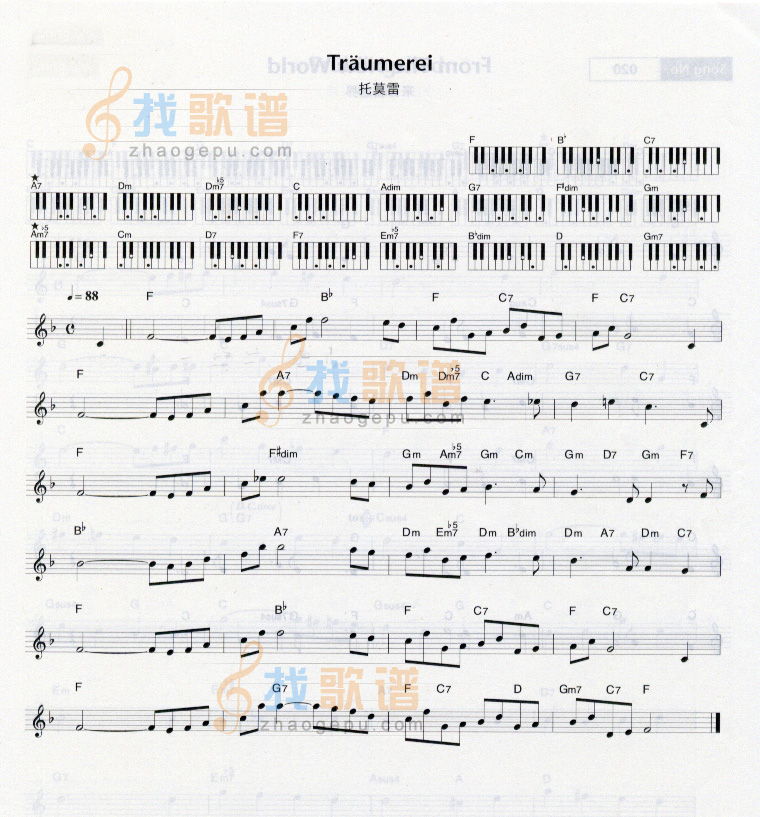 托莫雷
