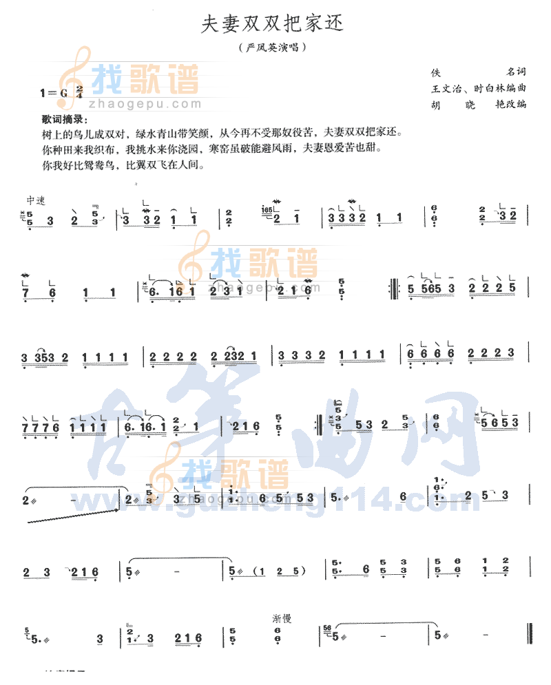 夫妻双双把家还