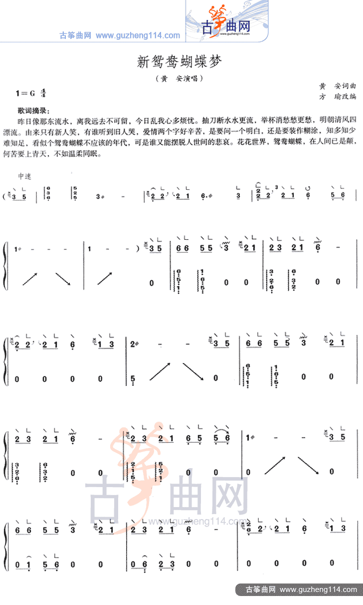 新鸳鸯蝴蝶梦
