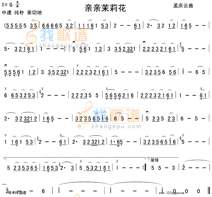 亲亲茉莉花