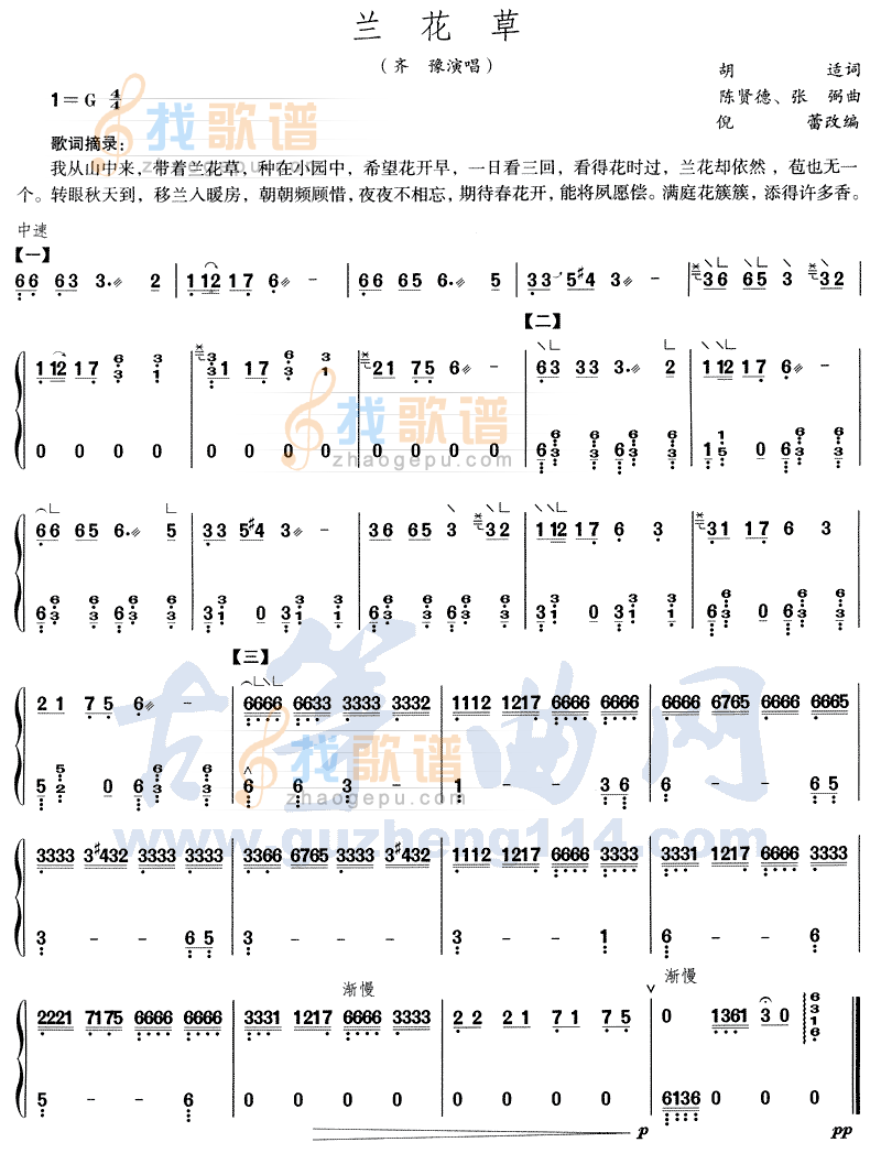 兰花草