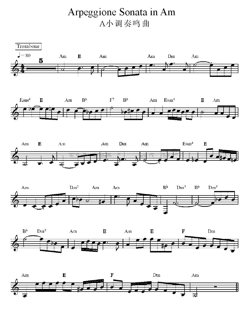 A小调奏鸣曲