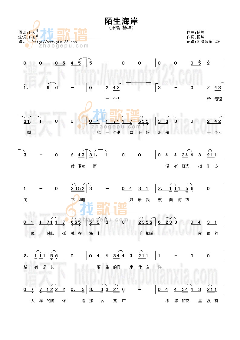 陌生海岸