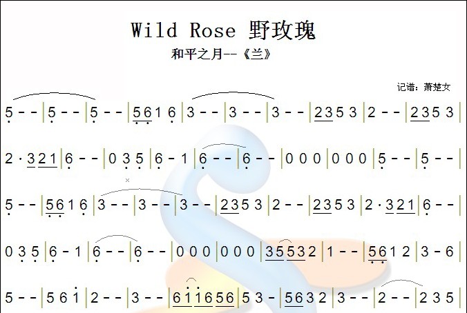 wild rose