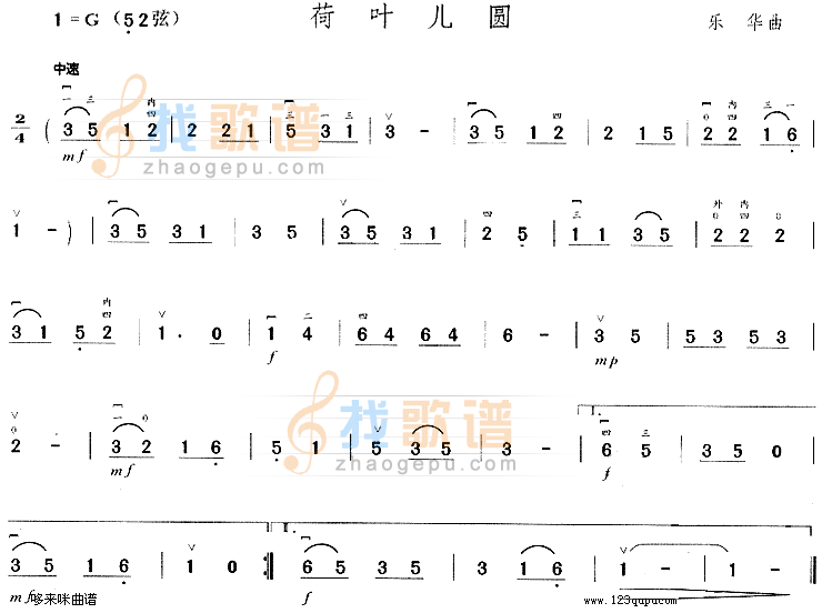 荷叶儿圆