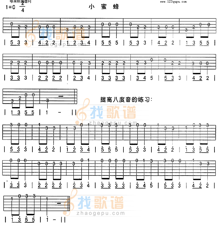 小蜜蜂