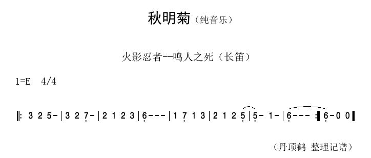 秋明菊