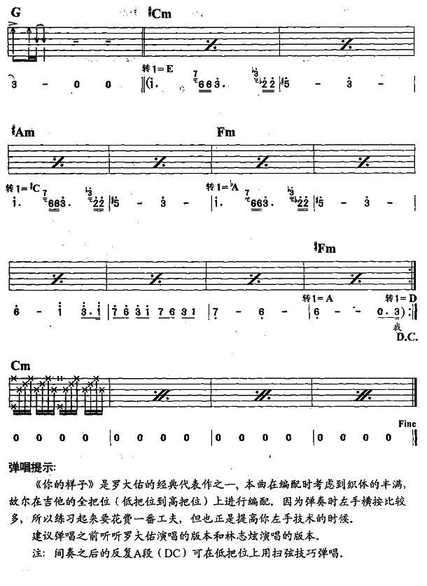 你的样子（吉他弹唱）