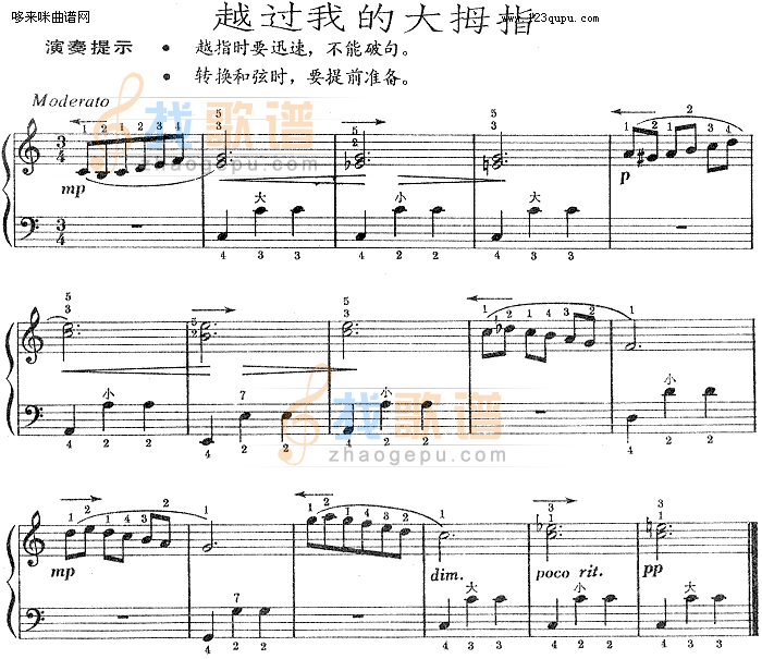 越过我的大拇指