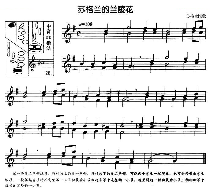 苏格兰的兰陵花