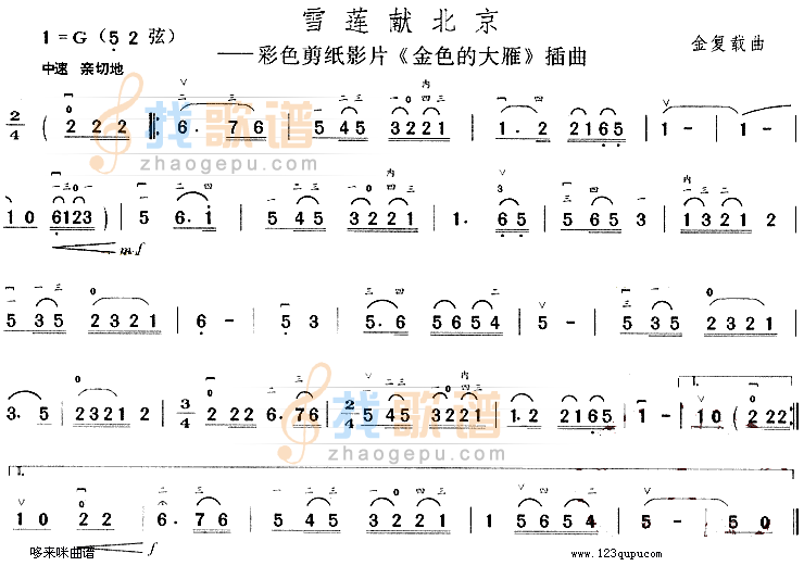雪莲献北京(金色的大雁插曲)
