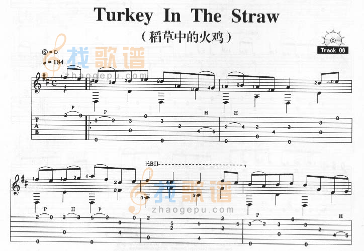 Turkey In The Straw－稻草中的火鸡