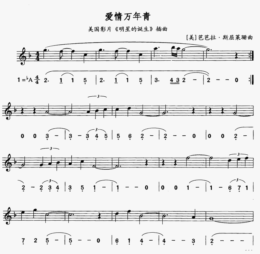 爱情万年青