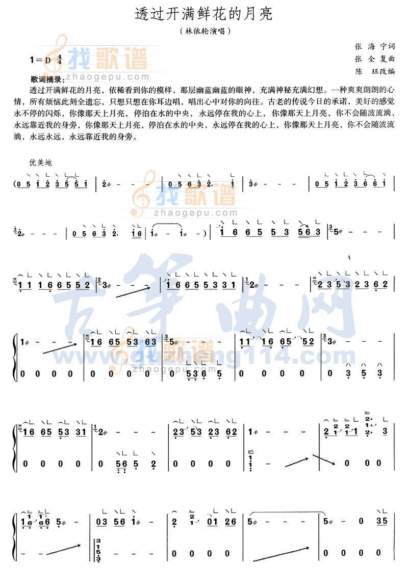 透过开满鲜花的地方