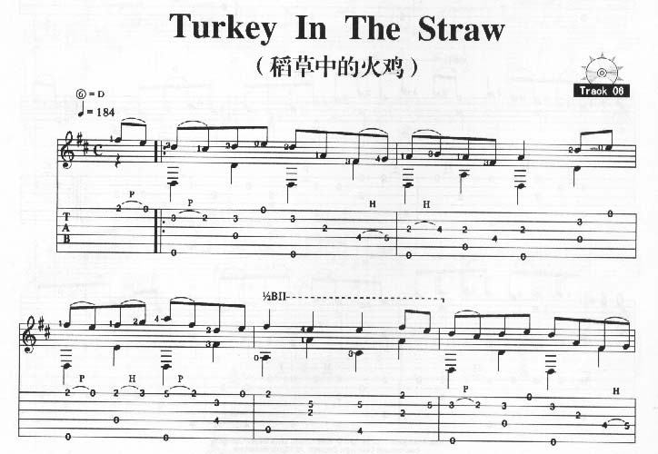Turkey In The Straw－稻草中的火鸡