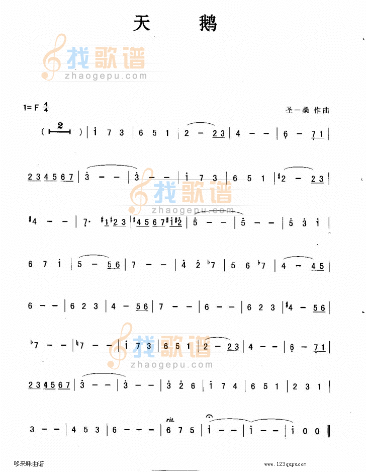 天鹅-