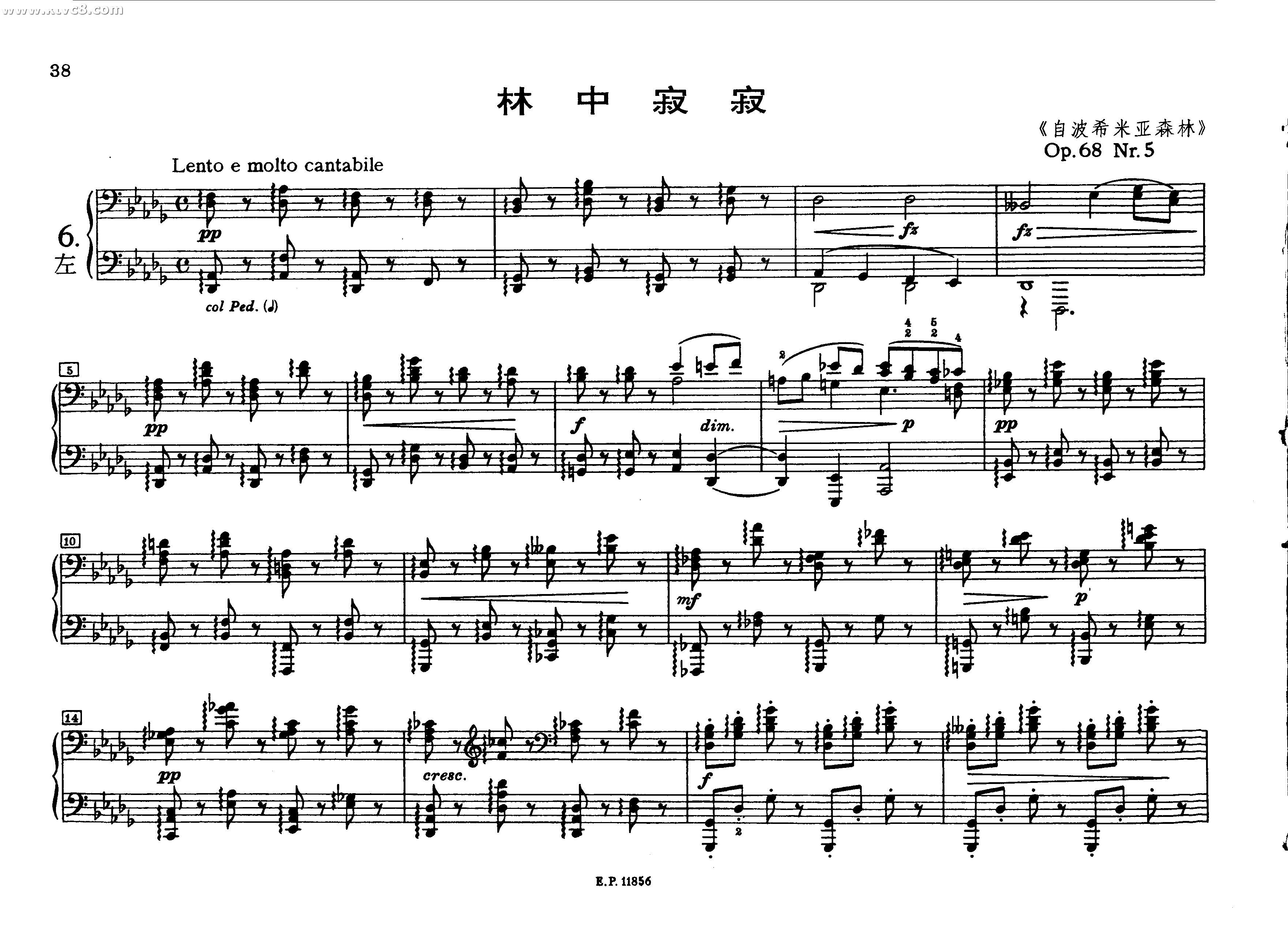 德沃夏克钢琴二重奏曲集-林中寂寂