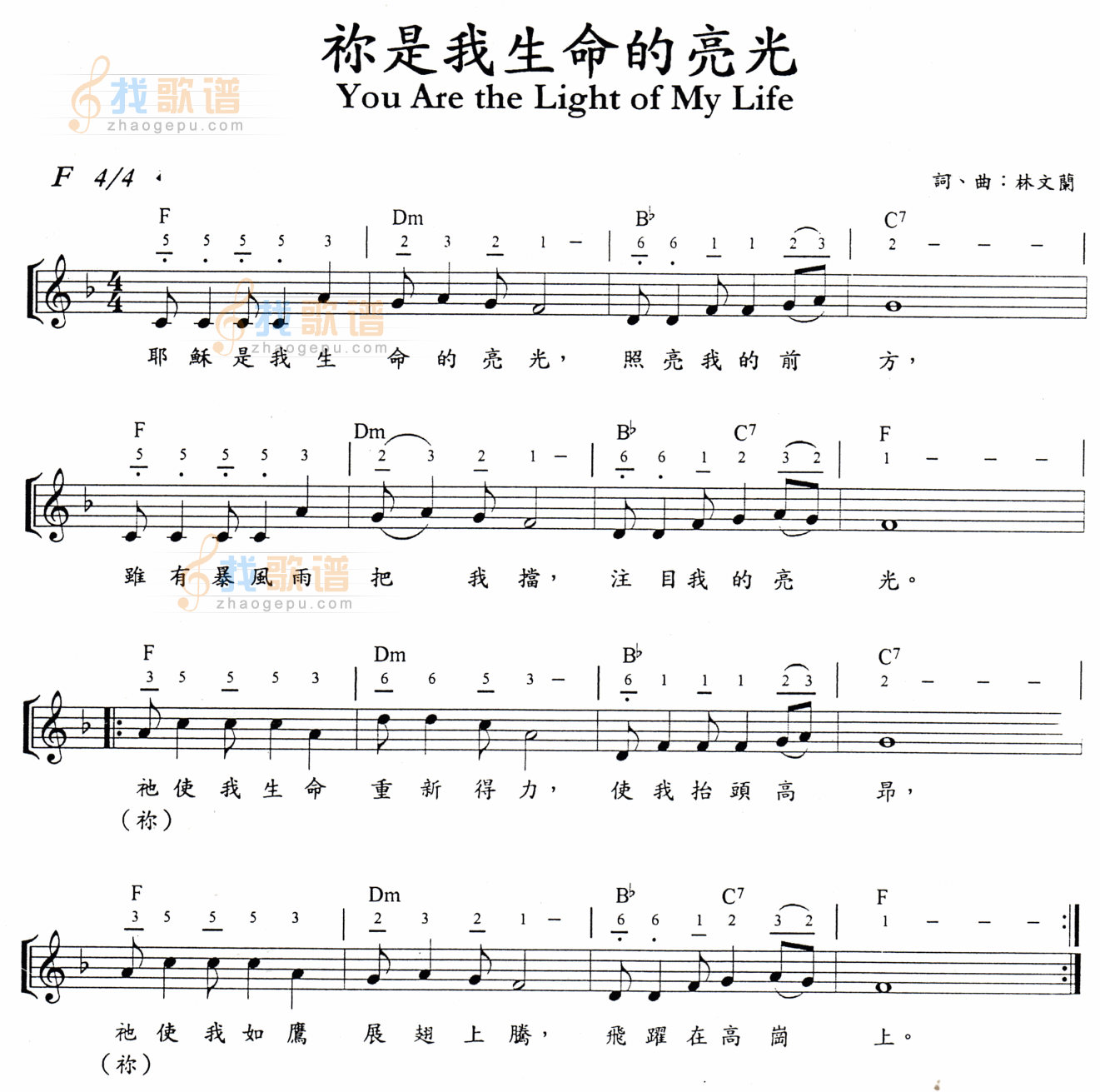 你是我生命的亮光