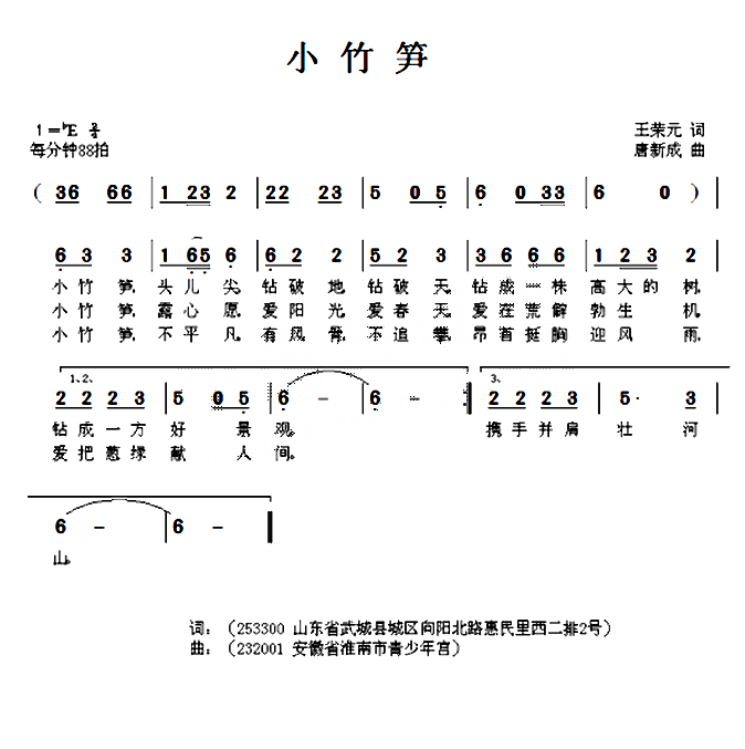 小竹笋
