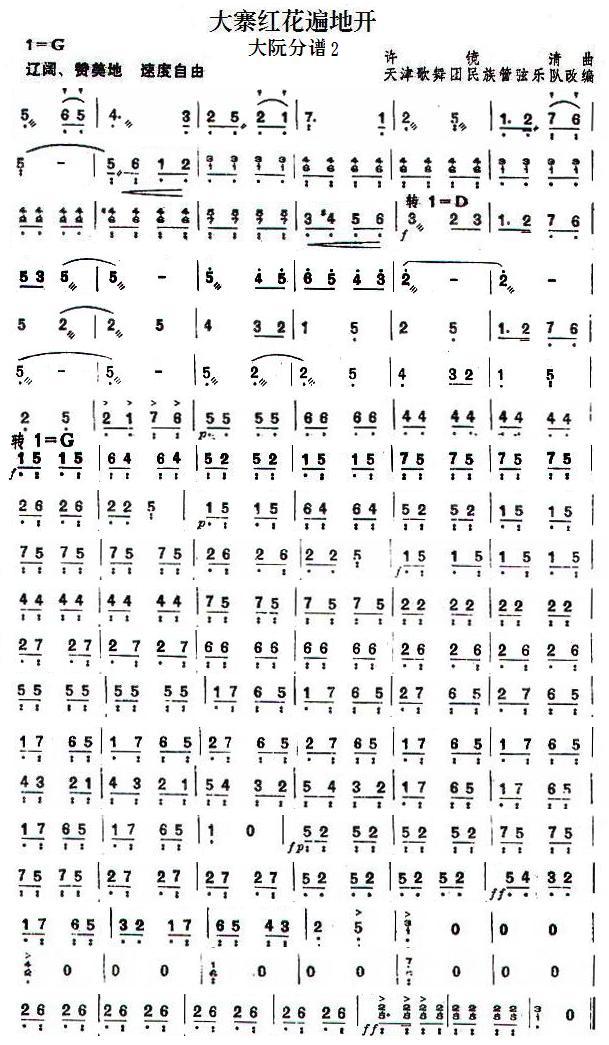 大寨红花遍地开(大阮分谱2)