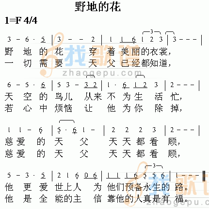 野地的花