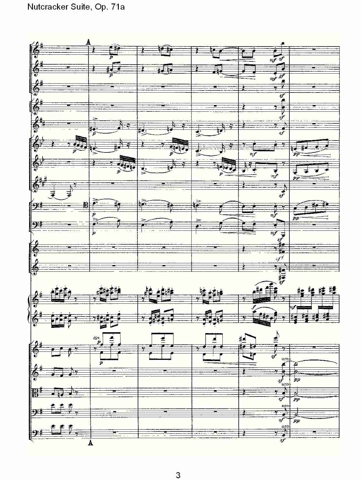 Nutcracker Suite, Op.71a   胡桃铗套曲，Op.71a第三乐章（一）